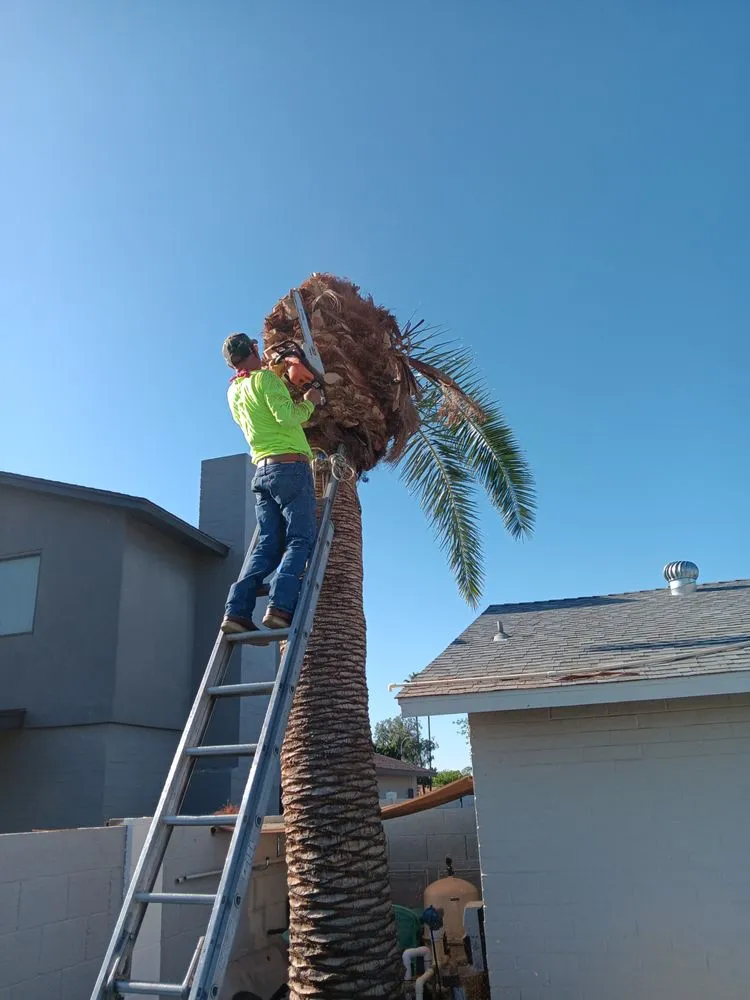 Local outdoor landscaping in Luke AFB, AZ - Green Valley Landscape