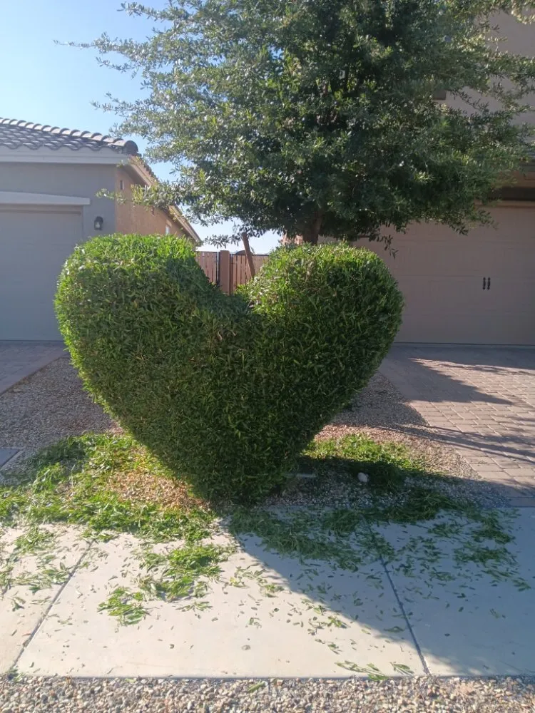 Top-rated outdoor landscaping experts serving Luke AFB, AZ - Green Valley Landscape