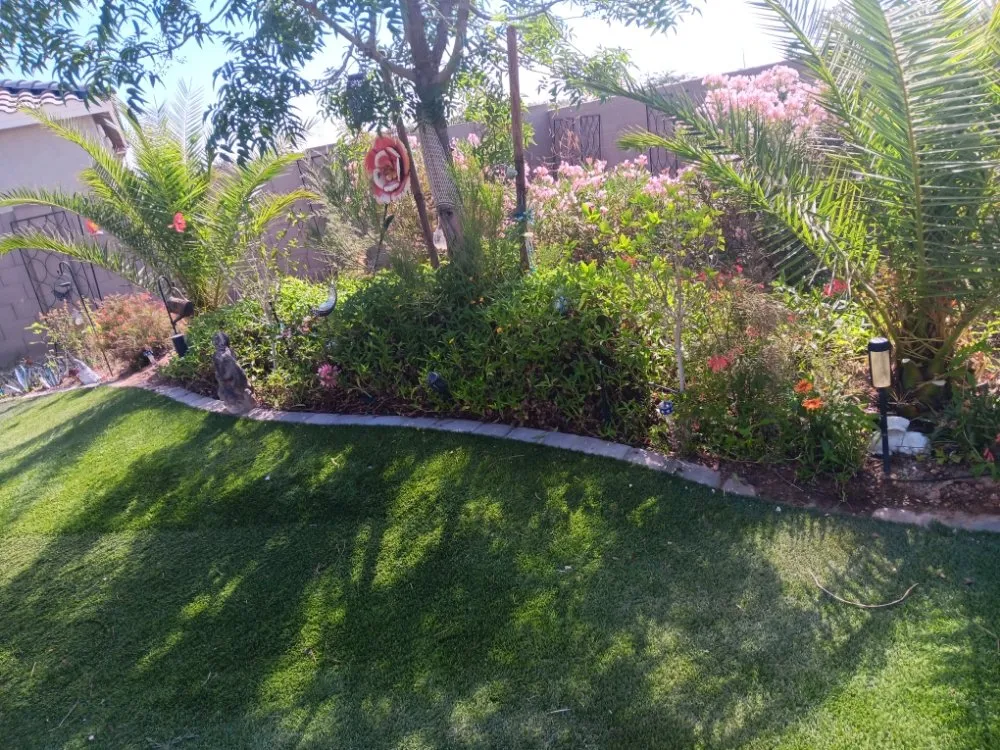 Reliable landscape installation in Luke AFB, AZ by Green Valley Landscape