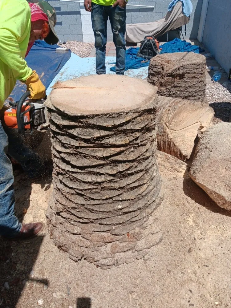 Custom outdoor landscaping experts serving Luke AFB, AZ - Green Valley Landscape