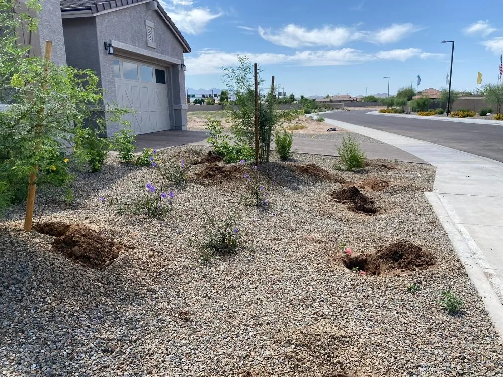 Top-rated landscape design experts serving Luke AFB, AZ - Green Valley Landscape