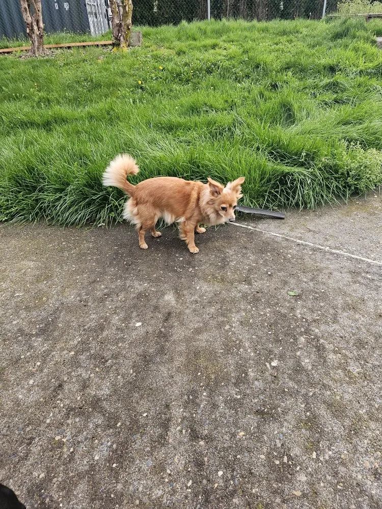 Expert landscape installation for residential properties in Gresham, OR by Green Valley Landscape Maintenance
