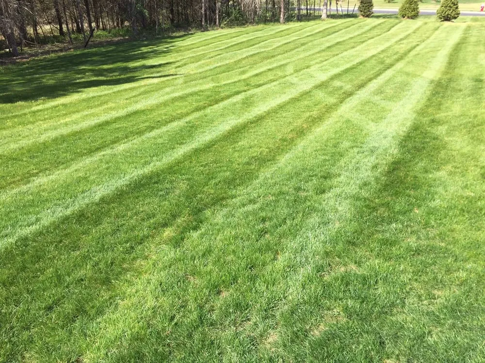 Local yard cleanup service experts serving Skillman, NJ - Green Valley Landscapes