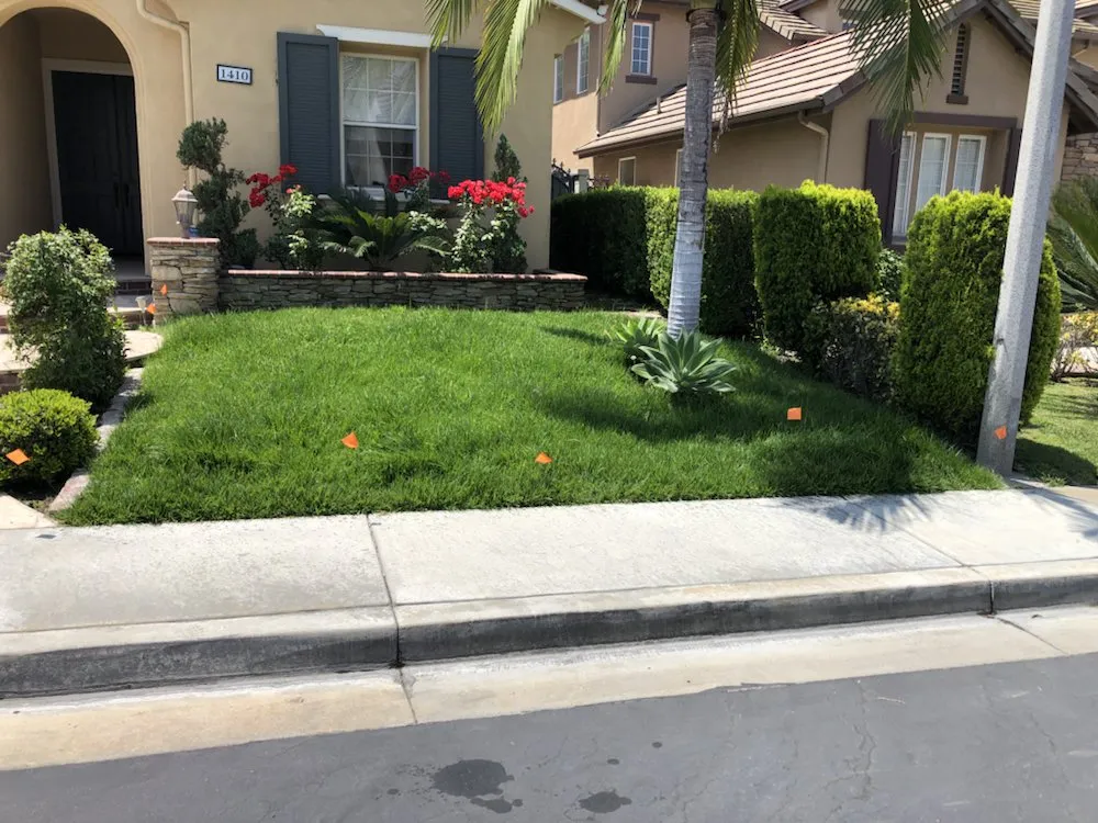 Trusted lawn mowing service in Orange, CA - Green Valley Landscaping & Maintenance