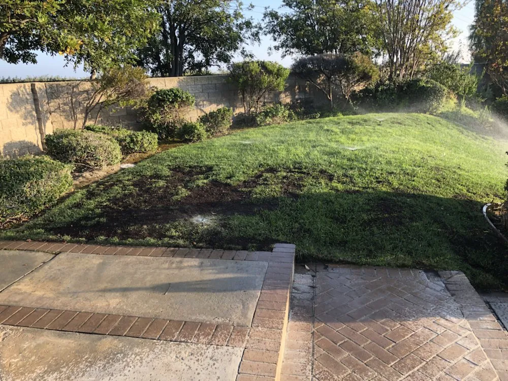 Local landscape design experts serving Orange, CA - Green Valley Landscaping & Maintenance