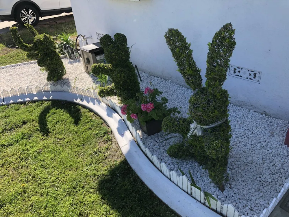 Expert yard maintenance near you in Orange, CA by Green Valley Landscaping & Maintenance