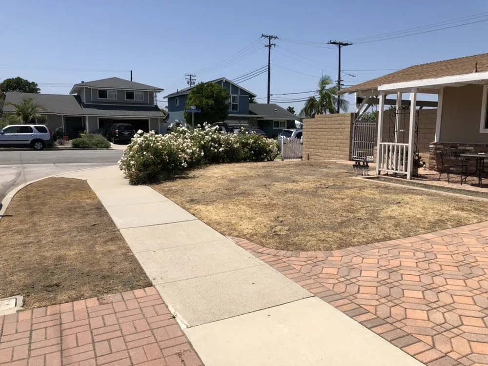 Custom yard cleanup service experts serving Orange, CA - Green Valley Landscaping & Maintenance