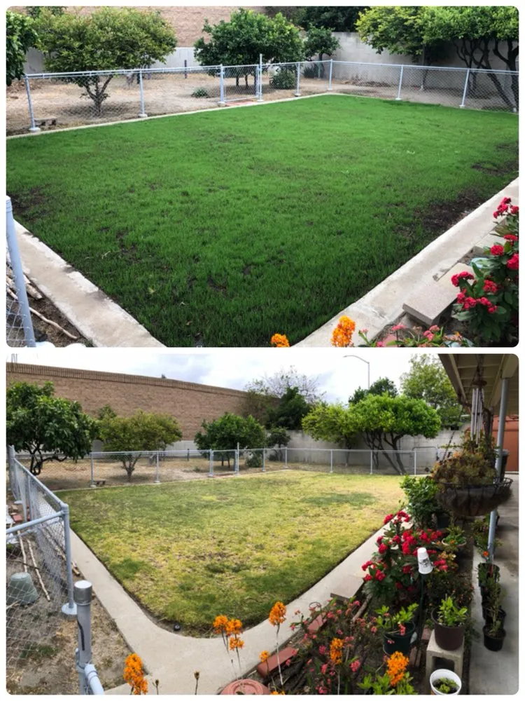 Trusted outdoor landscaping for outdoor upgrades across Orange, CA - Green Valley Landscaping & Maintenance
