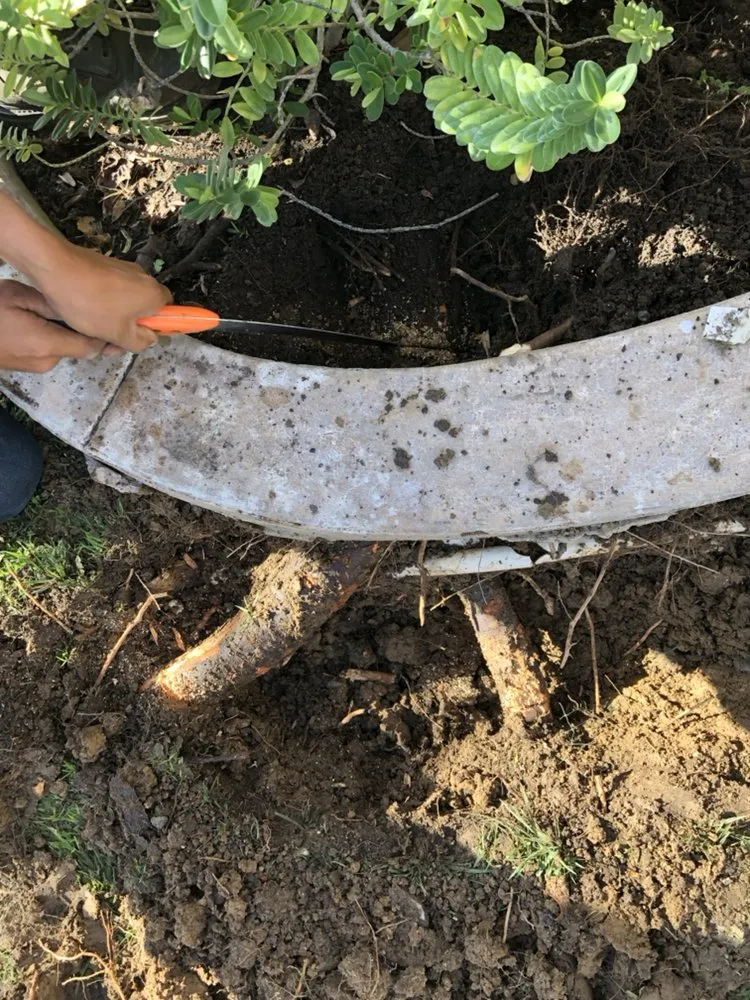 Trusted yard cleanup service for residential properties across Orange, CA - Green Valley Landscaping & Maintenance