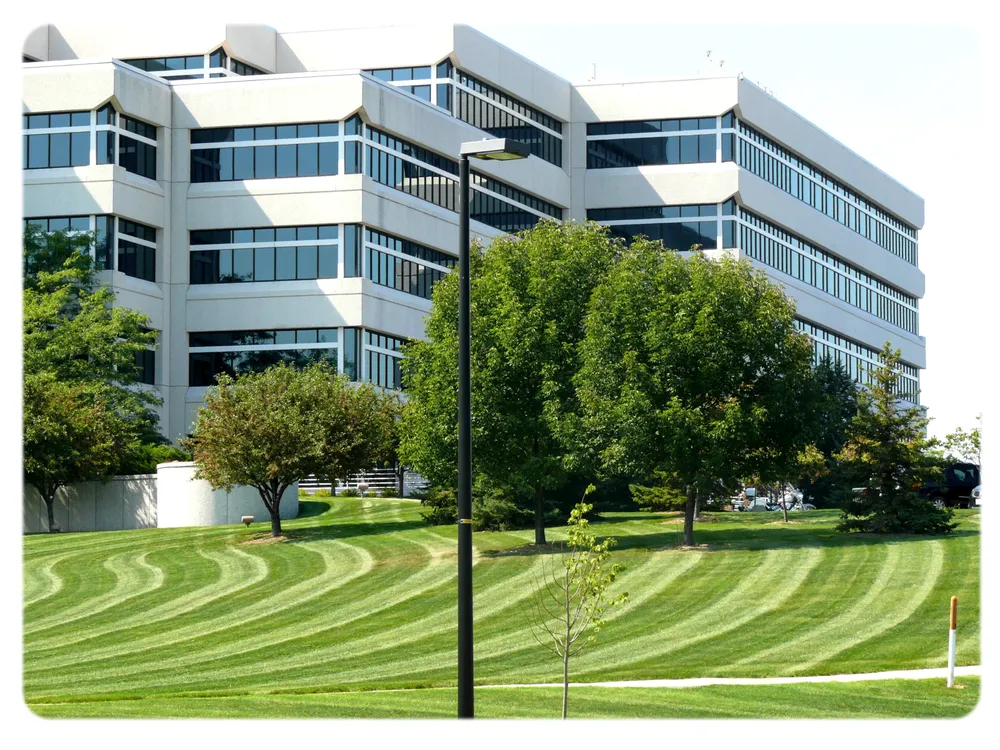 Reliable yard cleanup service in Kingston, NY by Green Valley Landscaping