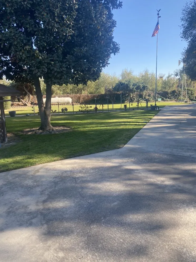 Top-rated yard cleanup service experts serving Modesto, CA - Green Valley Landscaping