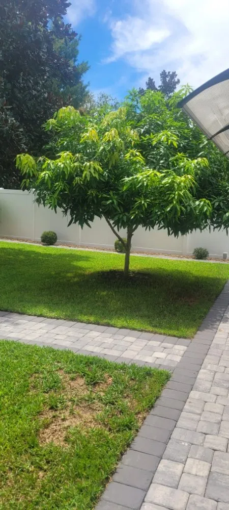 Top-rated garden landscaping near you across Orlando, FL - Green Valley Landscaping