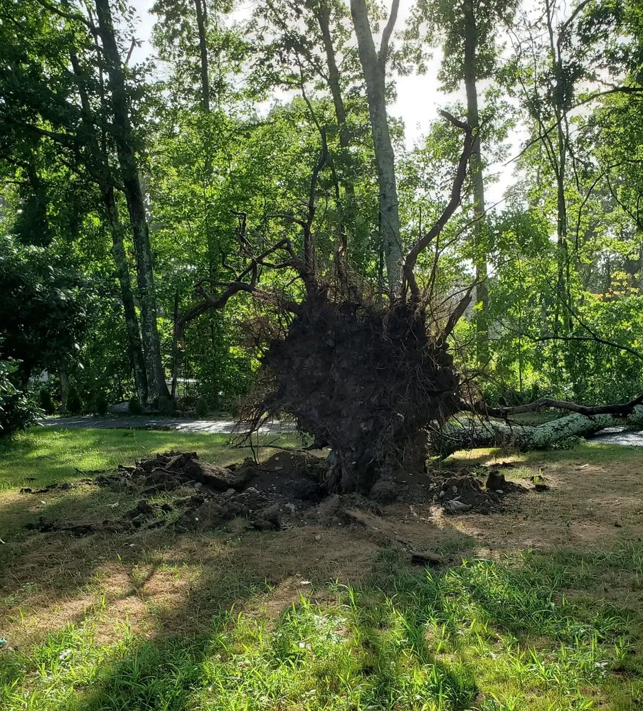 Expert lawn mowing service experts serving Seekonk, MA - Green Valley Landscaping