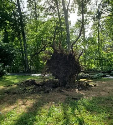 Green Valley Landscaping Logo