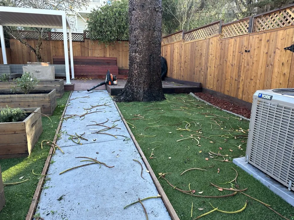 Professional lawn care service in San Francisco, CA by Green Valley Landscaping Services