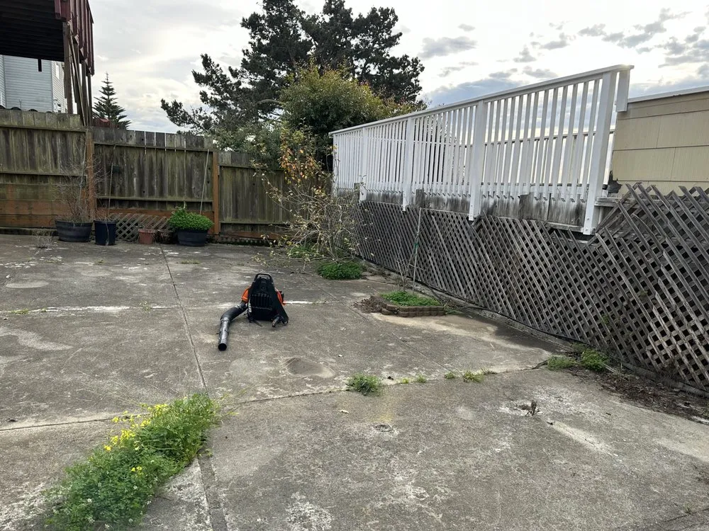 Expert garden landscaping in San Francisco, CA by Green Valley Landscaping Services