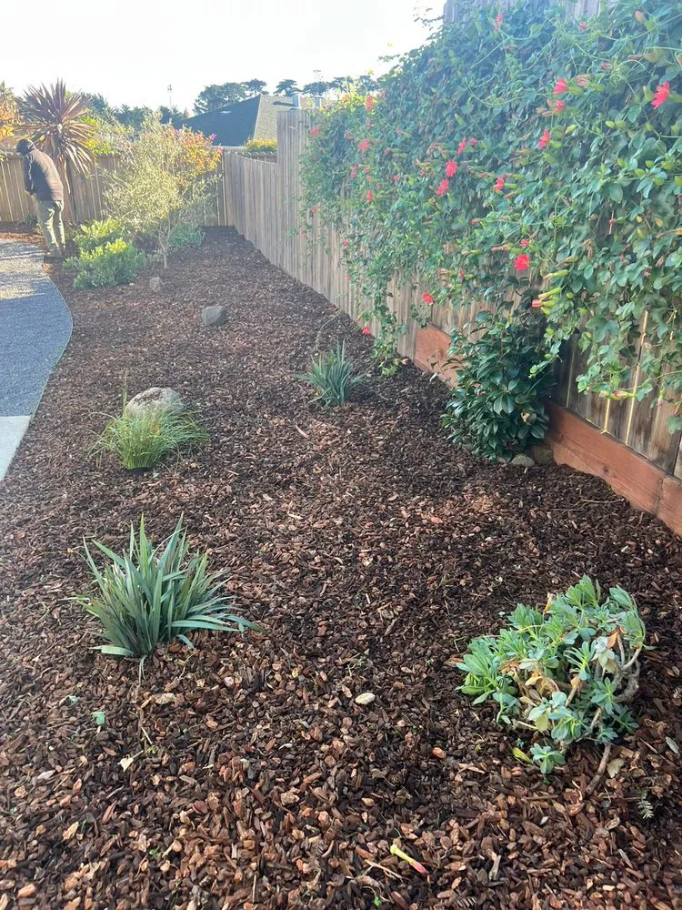 Professional lawn care service in San Francisco, CA - Green Valley Landscaping Services