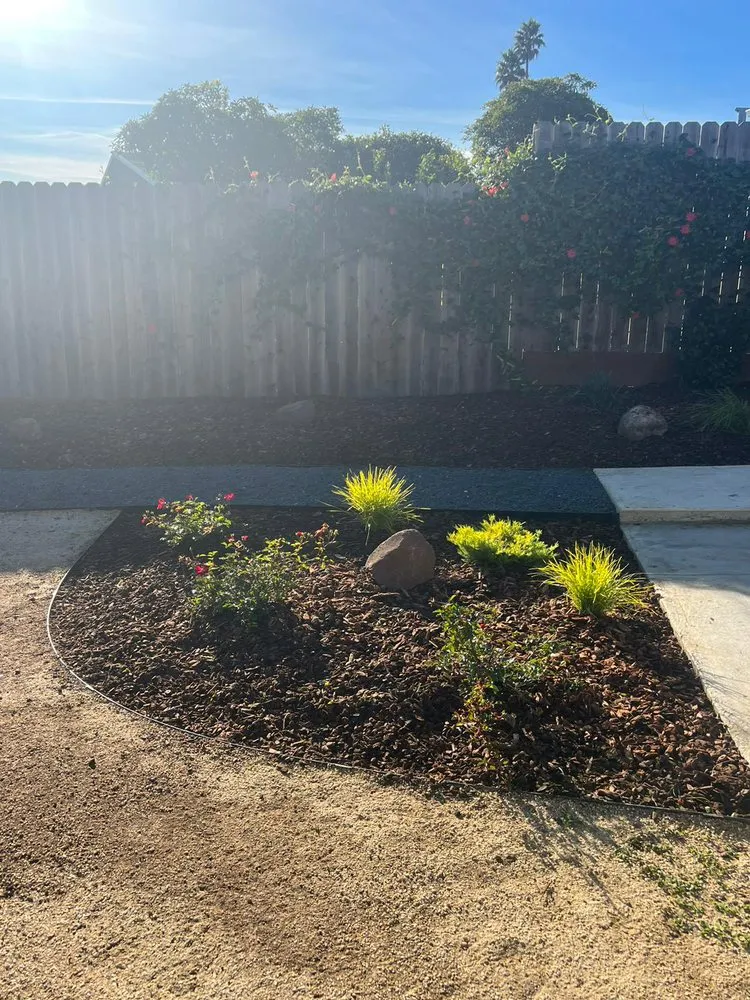 Trusted yard maintenance experts serving San Francisco, CA - Green Valley Landscaping Services