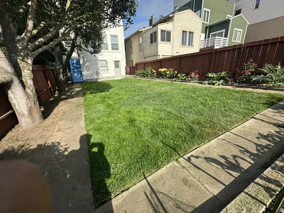 Professional landscape design for homes in San Francisco, CA by Green Valley Landscaping Services