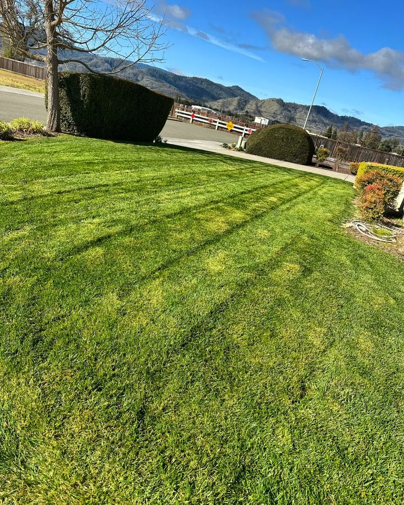 Professional residential landscaping in Ukiah, CA - Green Valley Landscaping
