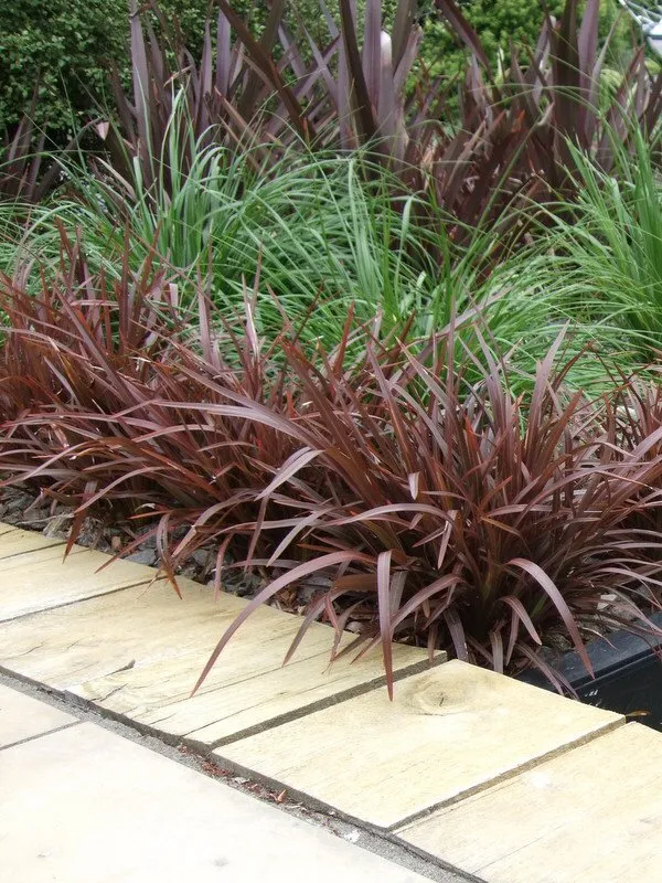 Trusted yard cleanup service in Vacaville, CA - Green Valley Landscaping