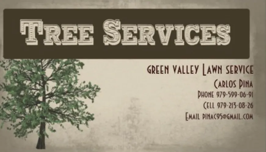 Custom yard cleanup service for outdoor upgrades across Bryan, TX - Green Valley Lawn Service