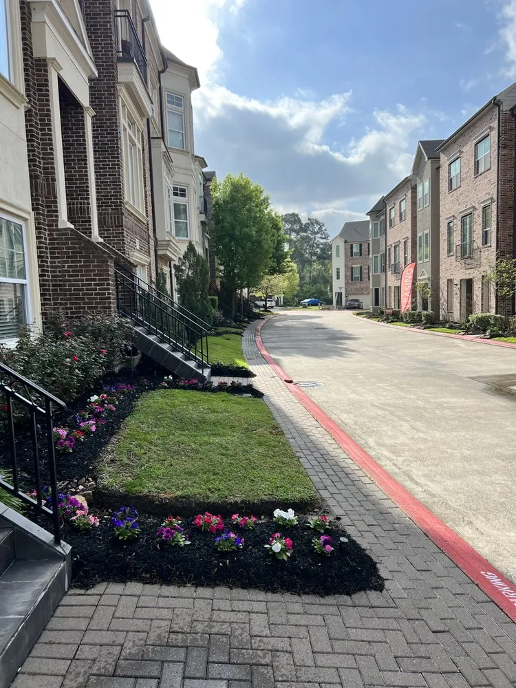 Affordable landscape installation in Katy, TX by Green Valley Lawn Service