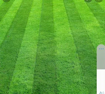 Green Valley Lawncare Logo