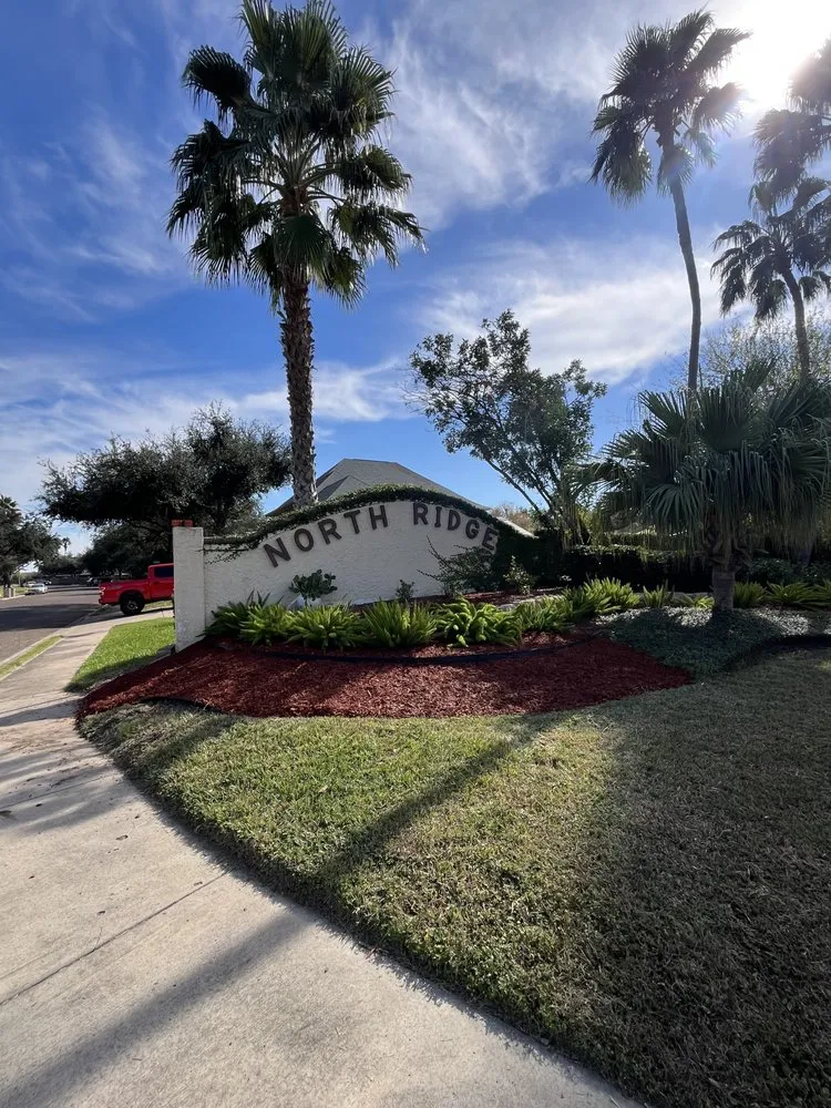 Affordable landscaping services for beautiful yards in Palmhurst, TX by Green Valley Lawncare