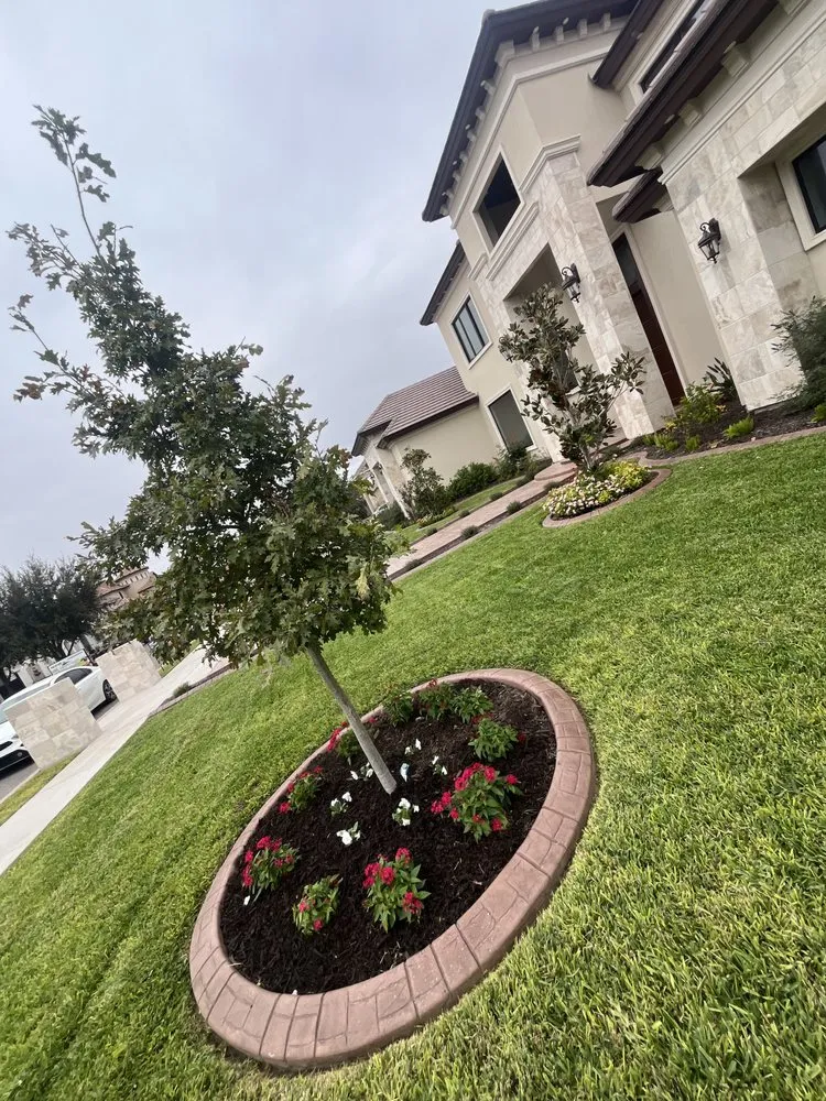 Affordable lawn care service in Palmhurst, TX - Green Valley Lawncare