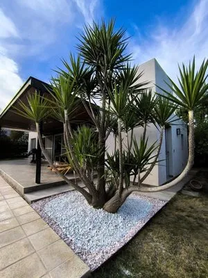 Green Valley Lawncare