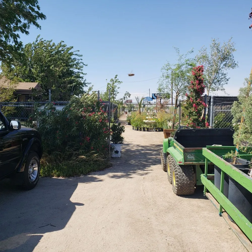 Custom lawn mowing service in Lancaster, CA by Green Valley Nursery