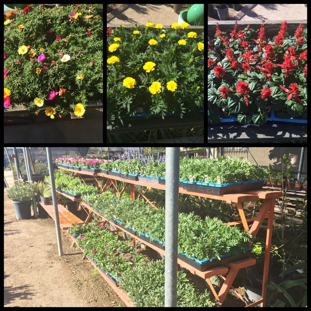Trusted outdoor landscaping in Lancaster, CA by Green Valley Nursery
