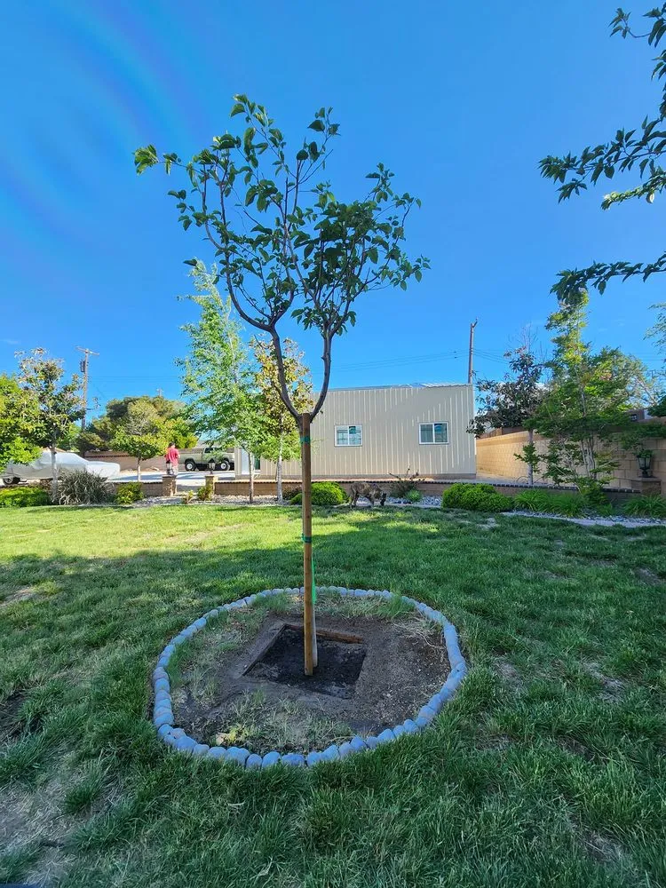 Professional landscape installation for beautiful yards in Lancaster, CA by Green Valley Nursery