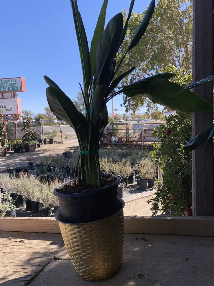 Local outdoor landscaping near you across Lancaster, CA - Green Valley Nursery