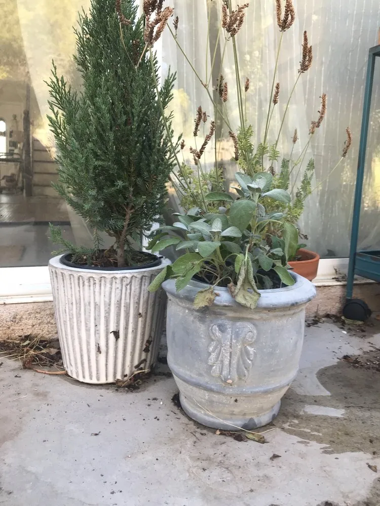 Professional garden landscaping in Lancaster, CA - Green Valley Nursery