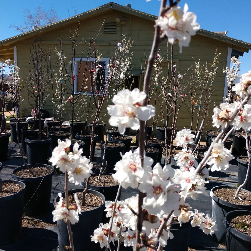 Reliable garden landscaping in Lancaster, CA - Green Valley Nursery