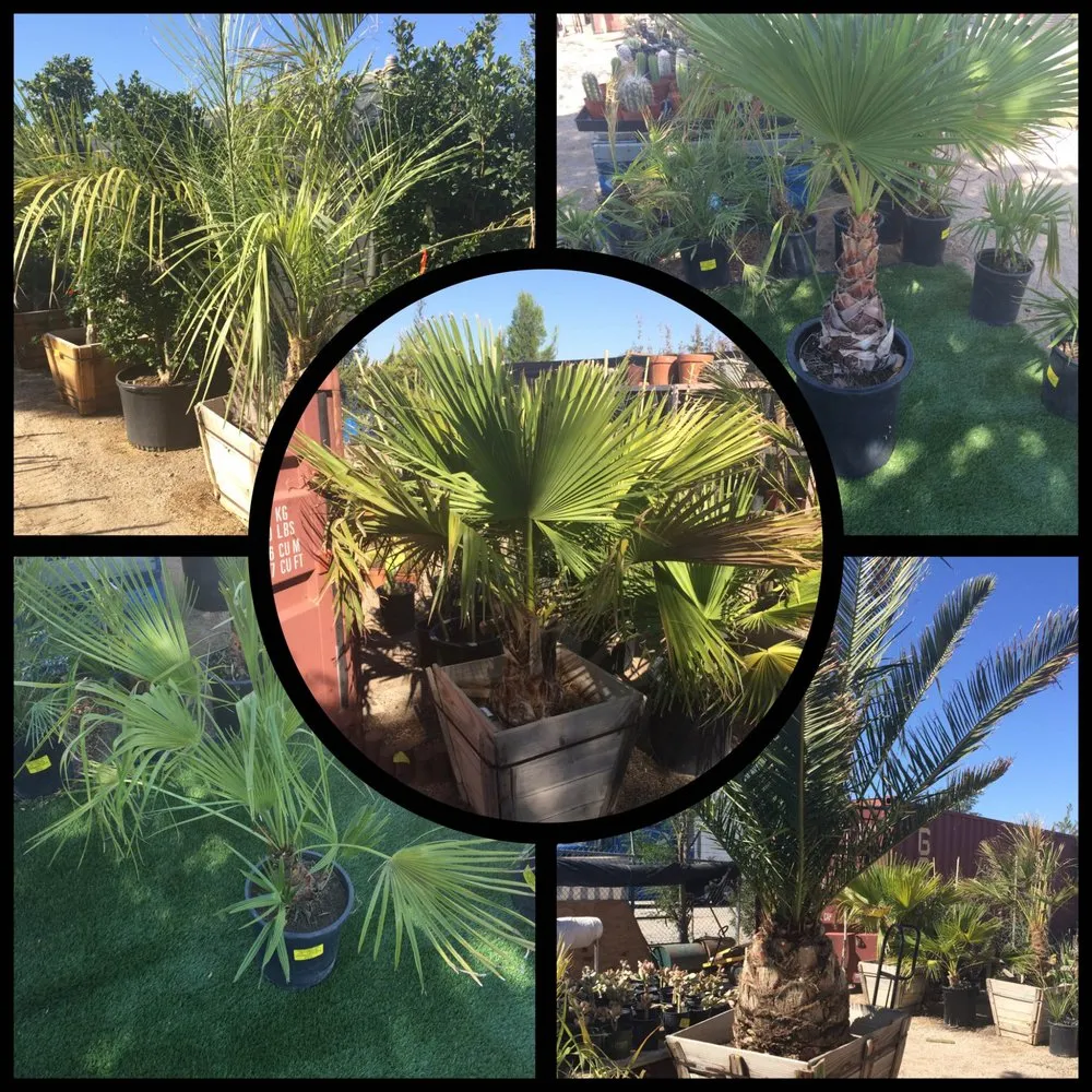 Local residential landscaping near you in Lancaster, CA by Green Valley Nursery