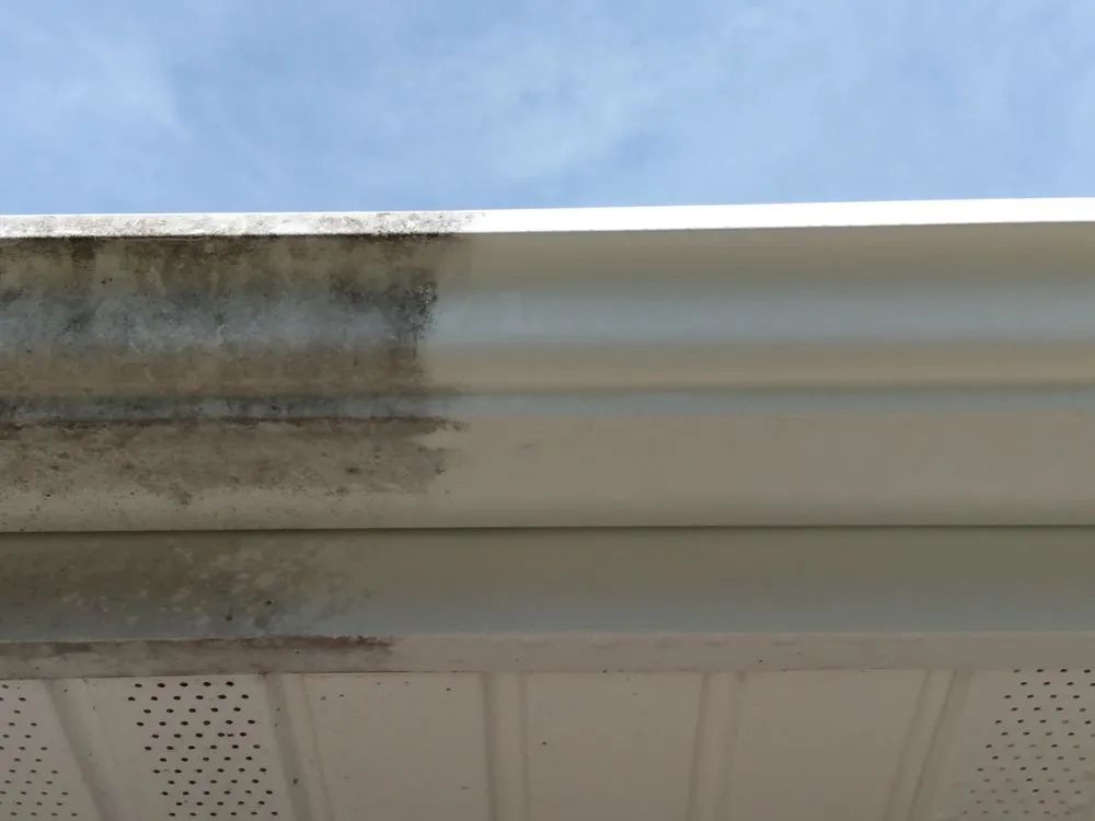 Trusted lawn care service experts serving Collinsville, VA - Green Valley Outdoor Needs