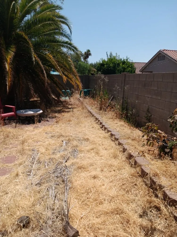 Affordable lawn mowing service for year-round maintenance in Mesa, AZ by Green Valley Service