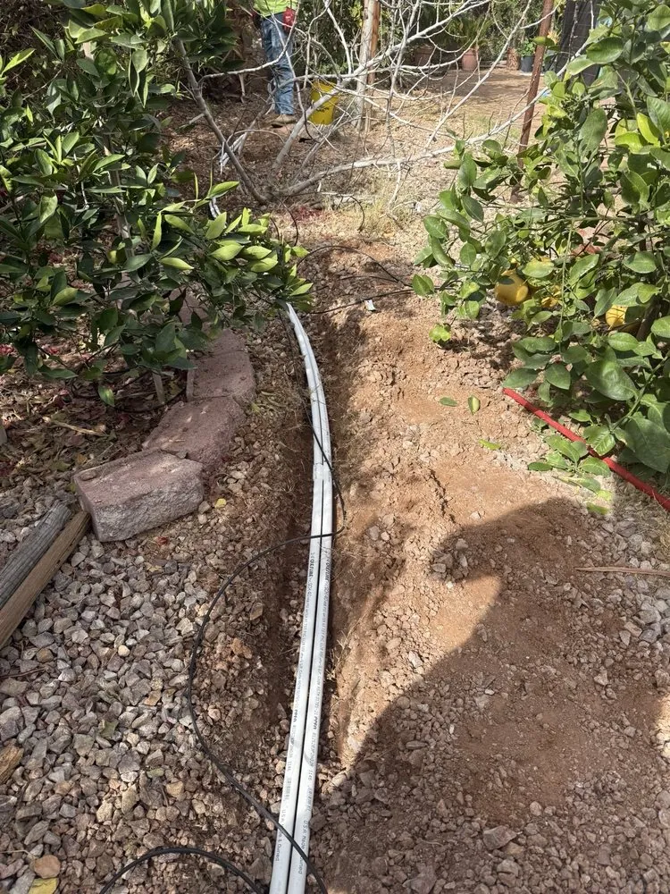 Professional landscape installation for beautiful yards across Mesa, AZ - Green Valley Service