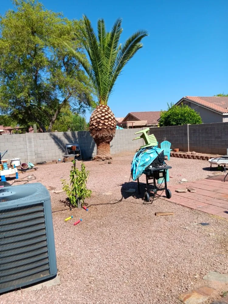 Reliable garden landscaping experts serving Mesa, AZ - Green Valley Service