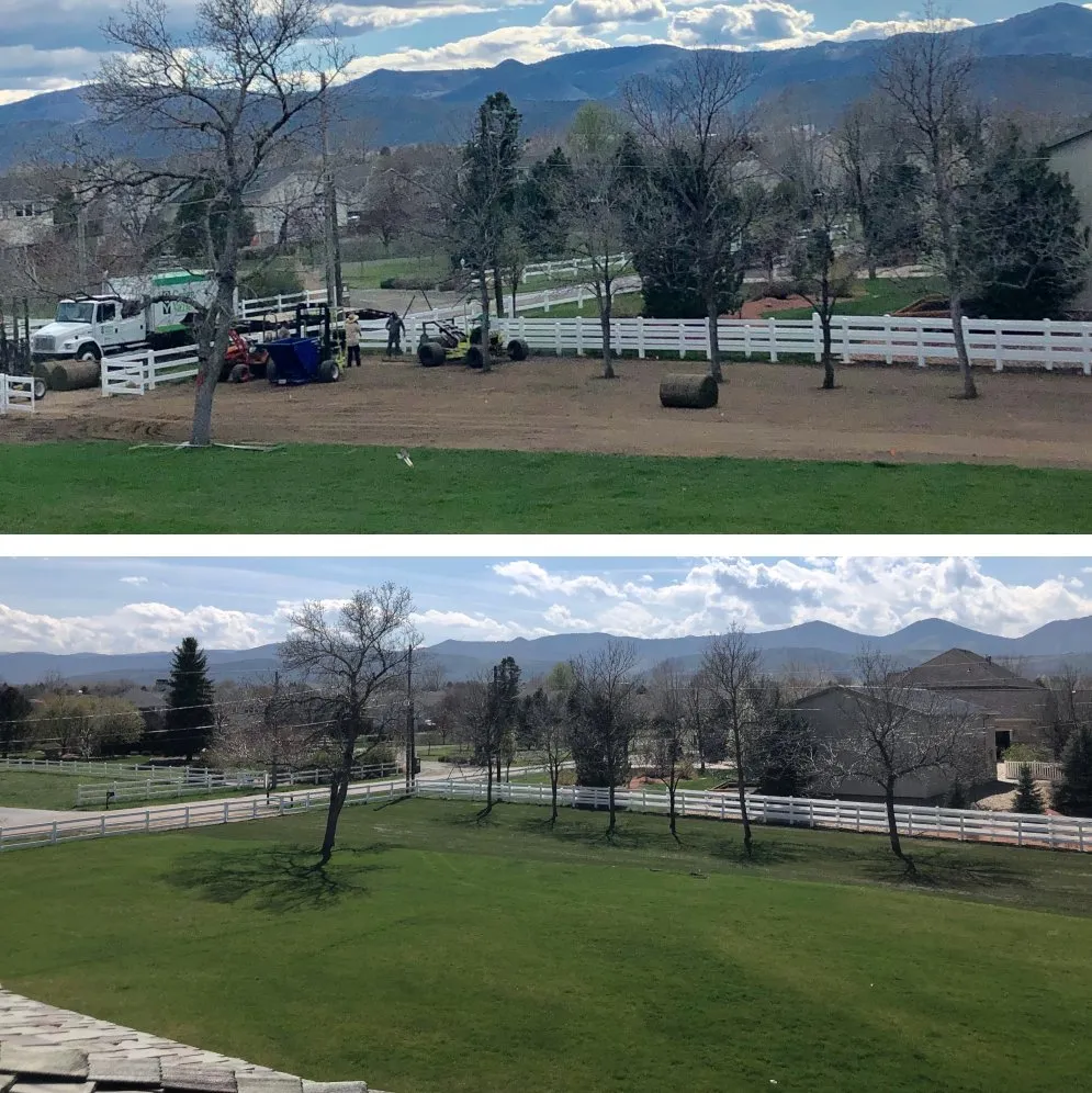 Professional residential landscaping experts serving Littleton, CO - Green Valley Turf