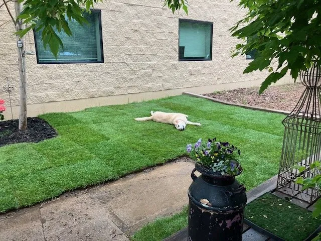 Trusted landscape installation for year-round maintenance in Littleton, CO by Green Valley Turf