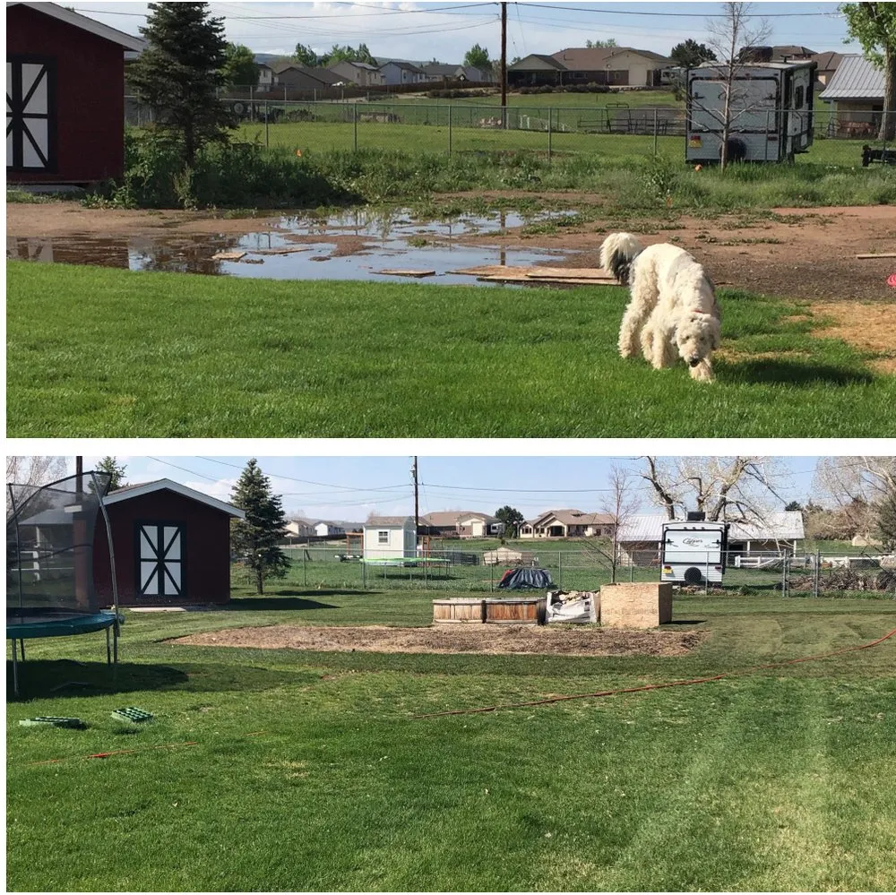Reliable yard maintenance for residential properties across Littleton, CO - Green Valley Turf