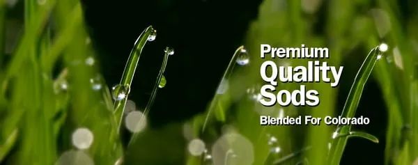 Green Valley Turf Logo