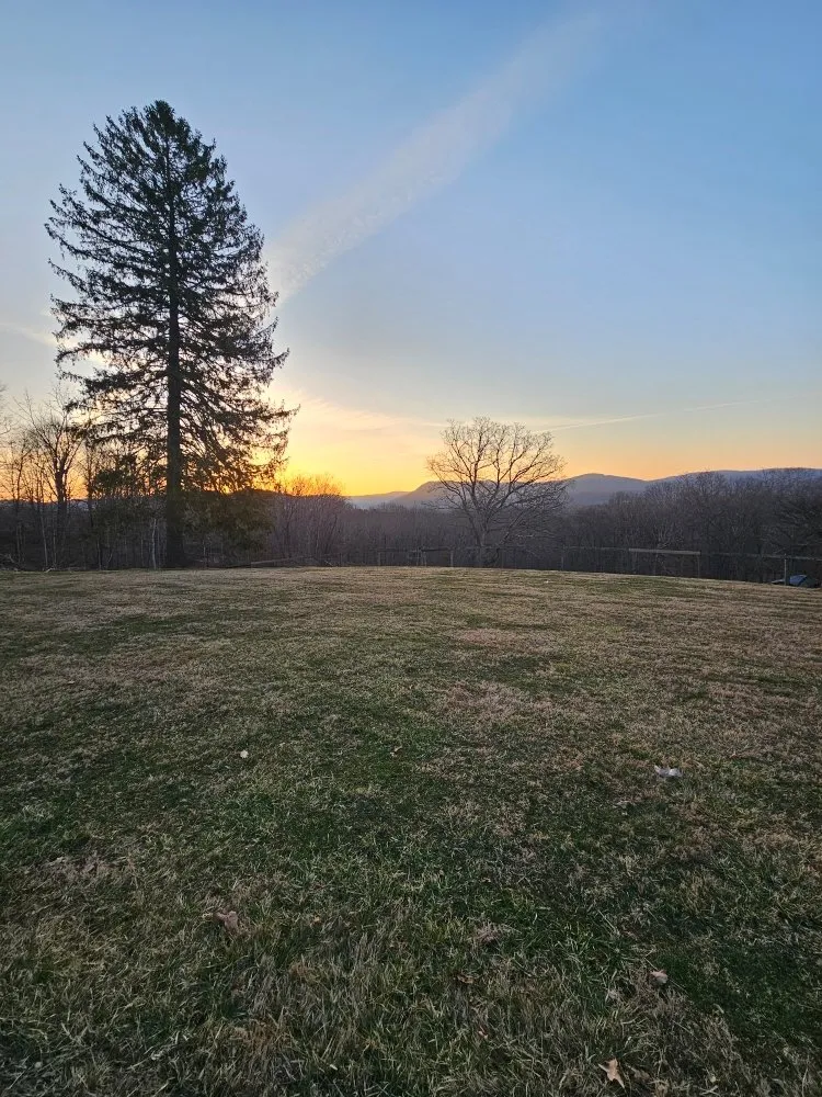 Top-rated residential landscaping for year-round maintenance across White Sulphur Springs, WV - Green Valleys L & E