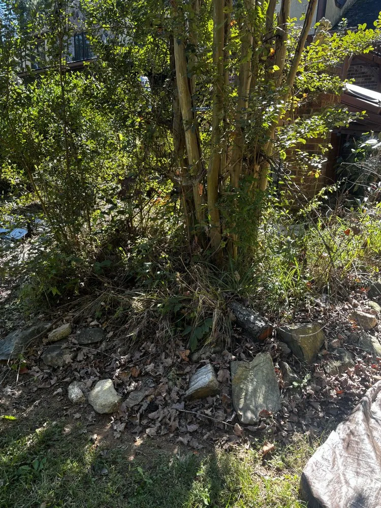 Trusted landscape design in Salisbury, NC - Green Value Landscaping