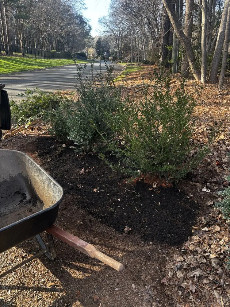 Expert landscaping services experts serving Salisbury, NC - Green Value Landscaping