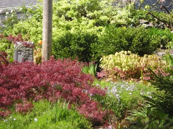 Trusted landscape design near you across Falmouth, MA - Green Velvet Gardens